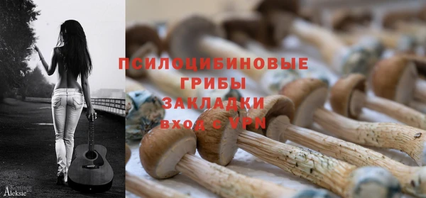 гашик Елабуга