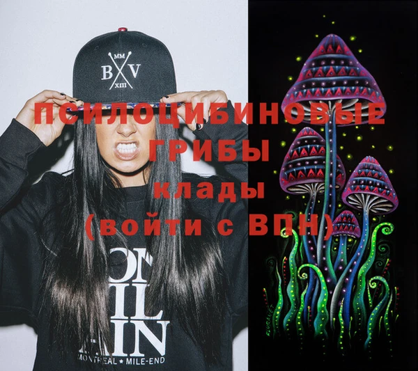 гашик Елабуга